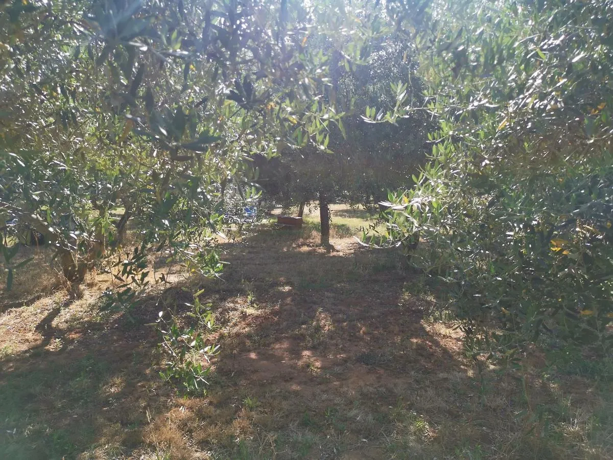 Jacuzi Cottage In The Olive Grove Pula