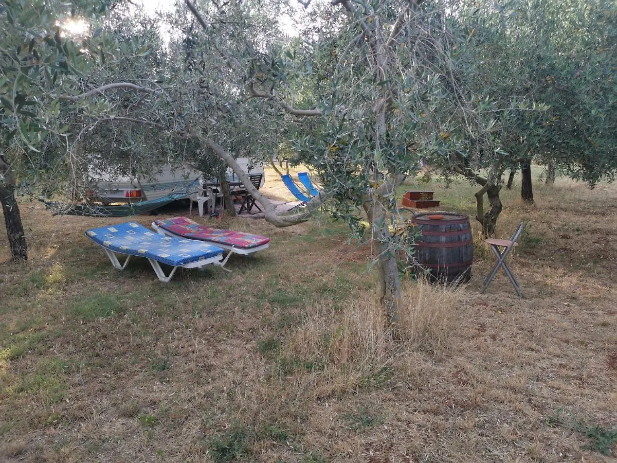 Campingplatz Jacuzi Cottage In The Olive Grove Pula