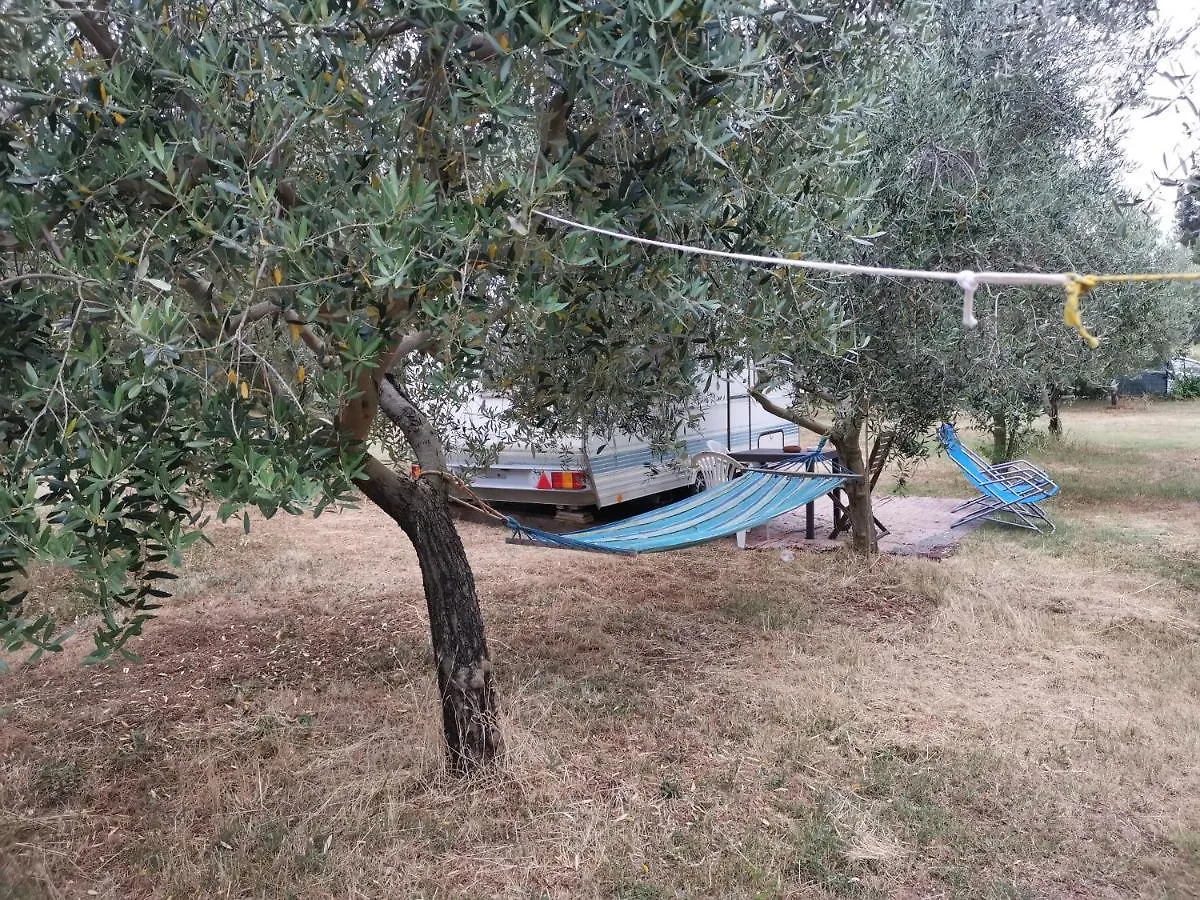 Jacuzi Cottage In The Olive Grove Pula 0*,  Kroatien