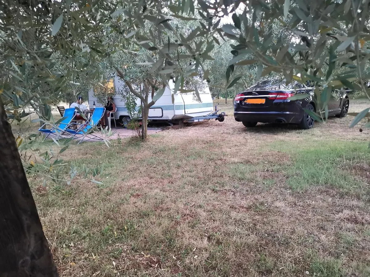 Jacuzi Cottage In The Olive Grove Pula