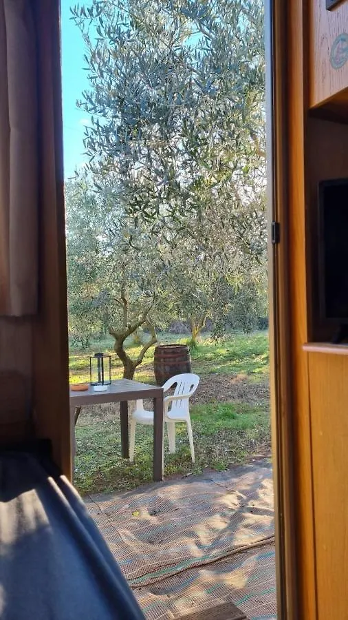 Jacuzi Cottage In The Olive Grove Pula