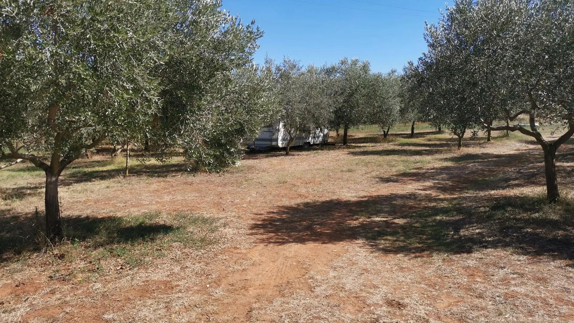 Jacuzi Cottage In The Olive Grove Pula